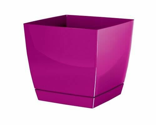 Blumentopf COUBI SQUARE P eckig mit einer Schale fuchsia 10cm