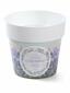 Blumentopf IML Motiv M2, 12cm