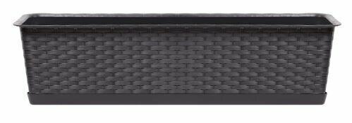 Box mit Schale RATOLLA CASE umbra 48,9cm