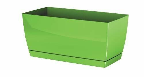 COUBI CASE P Box mit Olivenschale 39 cm