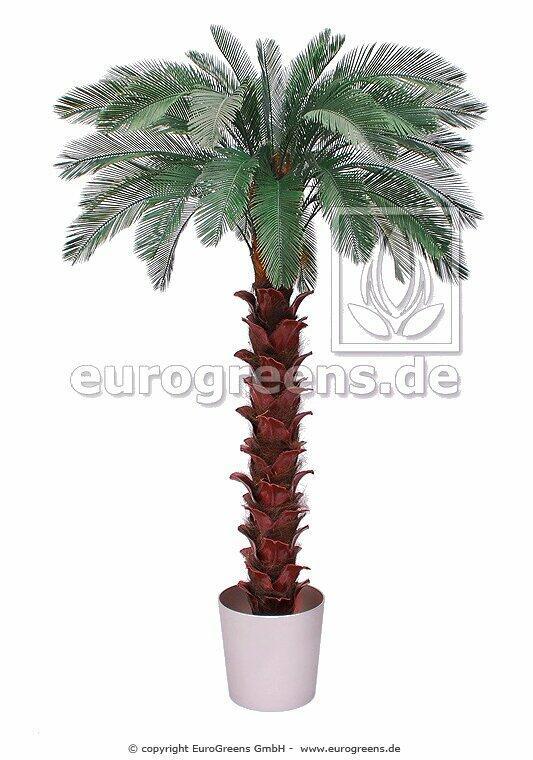 Cycas Kunstpalme 300 cm