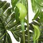 Künstlicher Kollokationsbaum 160 cm