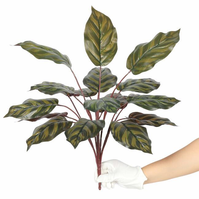 Die künstliche Pflanze Calathea 50 cm