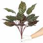 Die künstliche Pflanze Calathea 50 cm