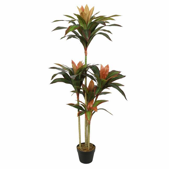 Der künstlicher Baum Dracena 135 cm