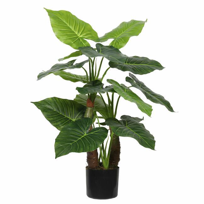 Der künstlicher Baum Taro Araceae 80 cm