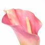 Kunstblume Kala rosa 55 cm pink