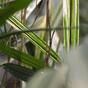 Künstliche Bambuspflanze 70 cm