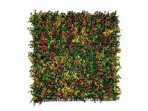 Künstliche Blumentafel Leucadendron - 50x50 cm50
