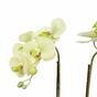 Künstliche Butterorchidee 50 cm