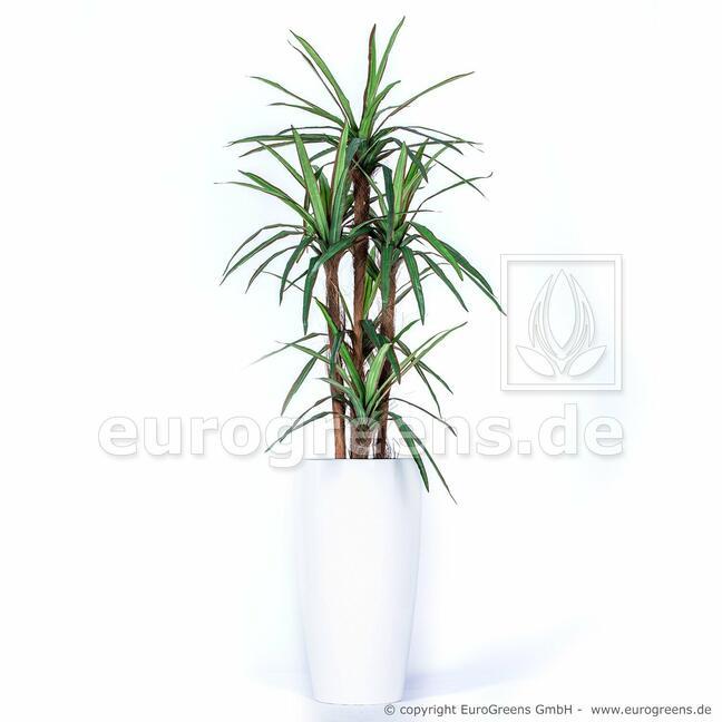 Künstliche Dracena-Pflanze gefüttert mit 140 cm