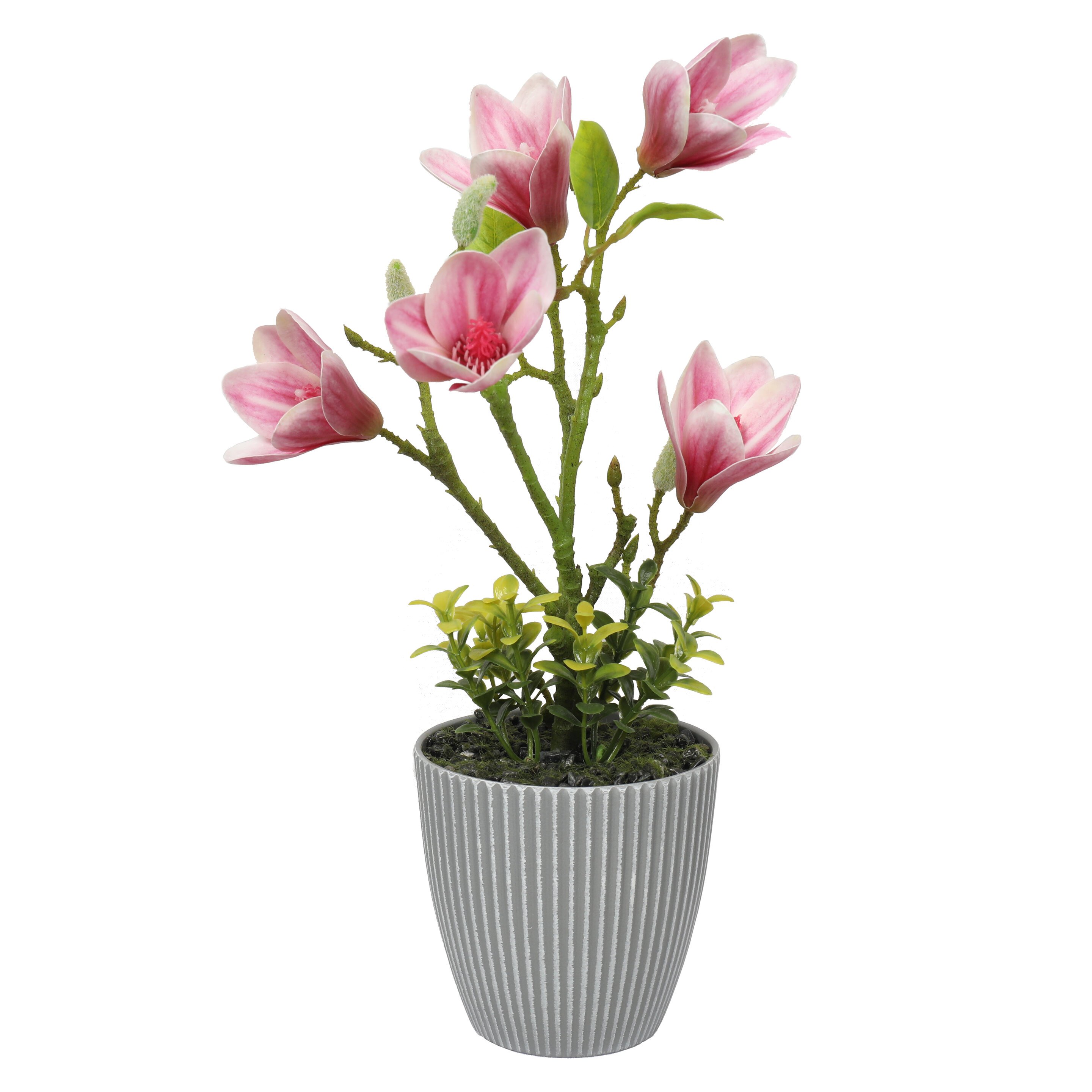 Blumentopf Die künstliche Magnolie im cm 21