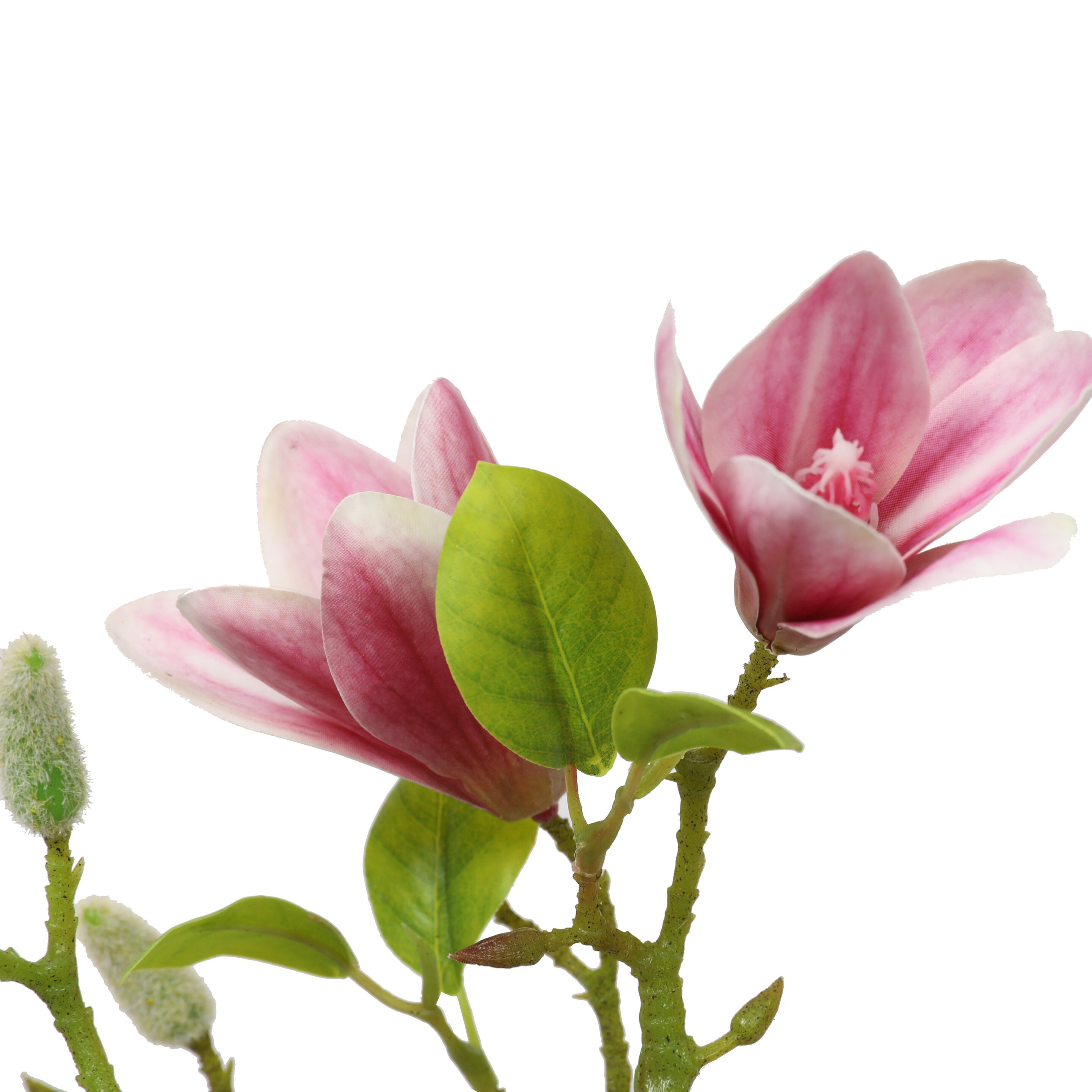 Die künstliche Magnolie im 21 cm Blumentopf