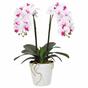 Künstliche Orchidee 43 cm