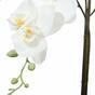 Künstliche Orchidee weiß 65 cm