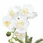 Künstliche Orchidee weiß mit Farn 37 cm