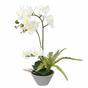 Künstliche Orchidee weiß mit Farn 43 cm