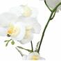 Künstliche Orchidee weiß mit Farn 43 cm