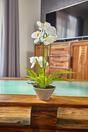 Künstliche Orchidee weiß mit Farn 43 cm