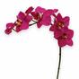 Künstliche Orchideenpflanze lila 80 cm