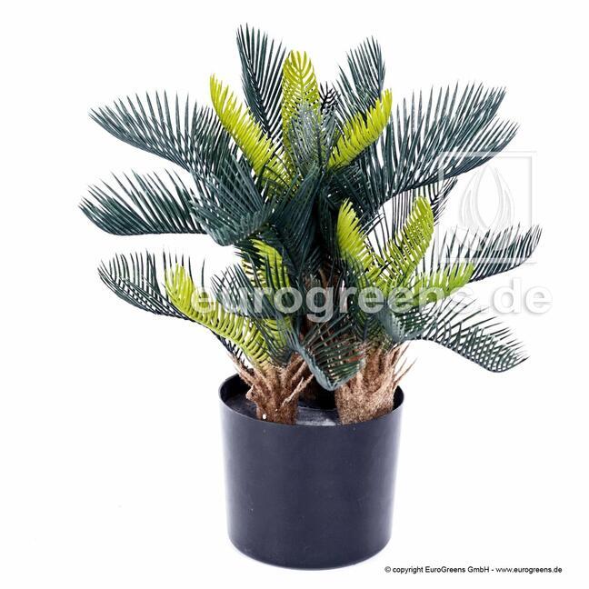 Künstliche Palme Cycas 50 cm