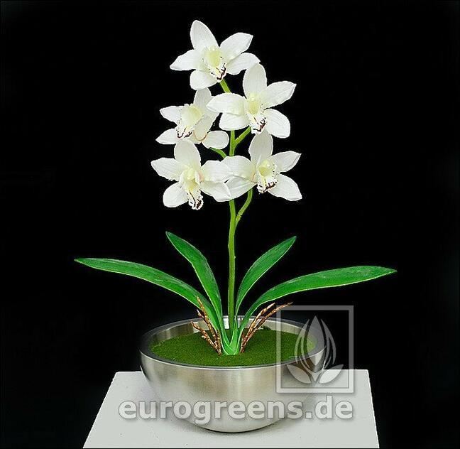 Künstliche Pflanze Orchidea Cymbidium Creme 50 cm