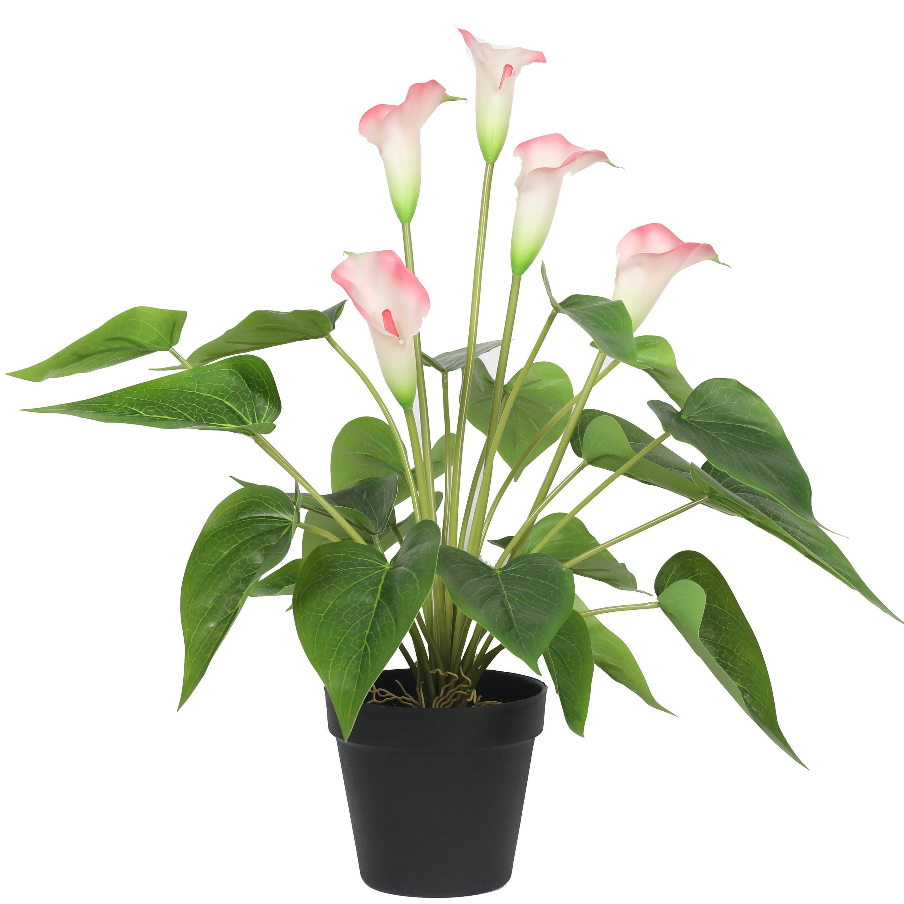 Künstliche Pflanze Weiß-Rosa Calla 50 cm