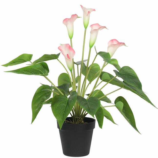 Künstliche Pflanze Weiß-Rosa Calla 50 cm