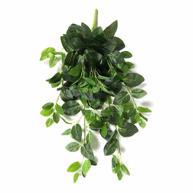 Künstliche Ranke Fitónia grün 80 cm