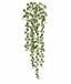 Künstliche Ranke Peperomia rotundifolia 80 cm