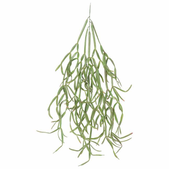Künstliche Ranke Rhipsalis paradoxa 86 cm