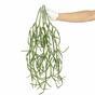 Künstliche Ranke Rhipsalis paradoxa 86 cm
