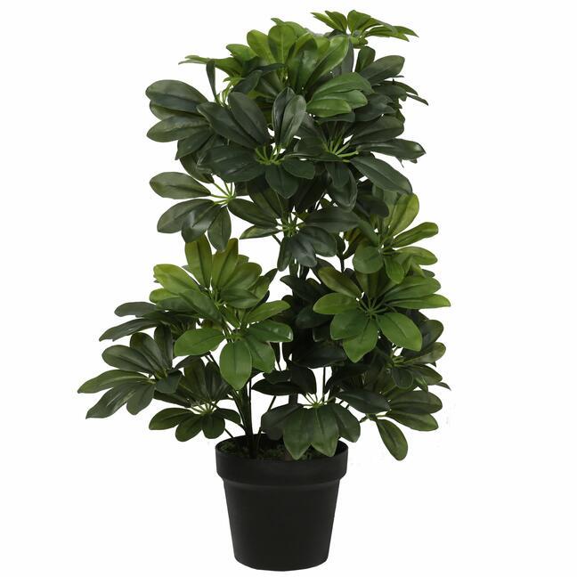 Künstliche Shefler-Pflanze 60 cm