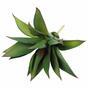 Die künstliche Pflanze Agave 26 cm