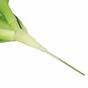 Die künstliche Wüstenrose grün 25,5 cm