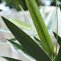 Künstlicher Ast Bambus 60 cm