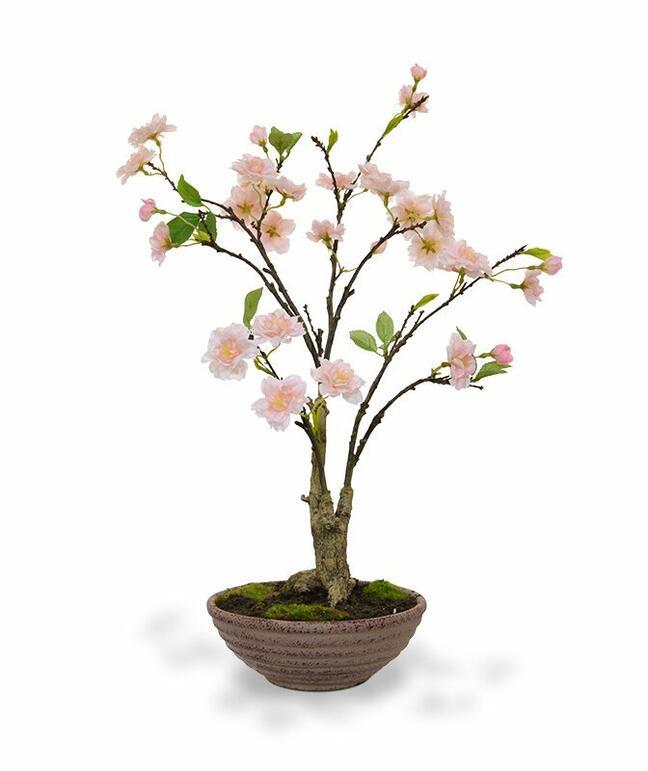 Künstlicher Bonsai Kirsche 55 cm