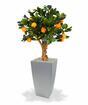 Künstlicher Bonsai Zitrone orange 65 cm