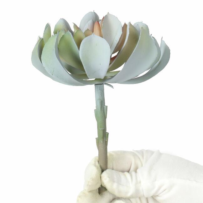 Künstlicher Lotus grau-rosa 14 cm