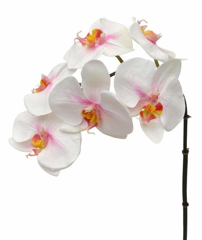 Künstlicher Orchideenzweig rosa-weiß 55 cm