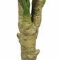 Künstlicher Philodendron 180 cm