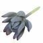 Künstliche Sukkulente Lotus Eševeria Colorata 10 cm