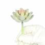 Künstliche Sukkulente Lotus Echeveria Elegans 9,5 cm