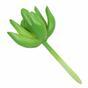 Künstliche Sukkulente Lotus Sedum 10 cm
