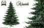 Künstlicher Weihnachtsbaum Nordmann Alnwick 270 cm