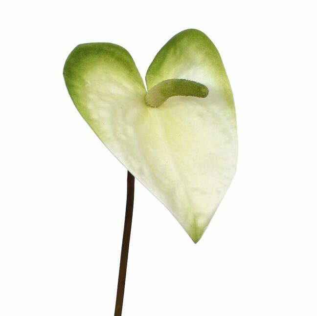 Künstlicher Zweig Anthurie weiß-grün 55 cm