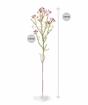 Künstlicher Zweig Chamelaucium uncinatum rosa 65 cm