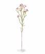 Künstlicher Zweig Chamelaucium uncinatum rosa 65 cm