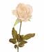 Künstlicher Zweig Creme Rose 60 cm
