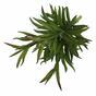Künstlicher Zweig Dianthus grün 17,5 cm